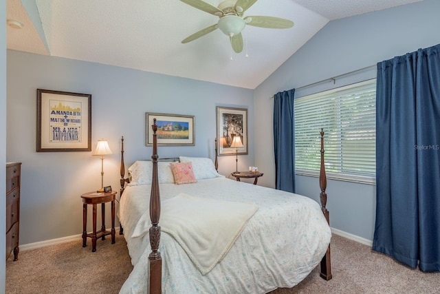 1843 Barn Owl Way, Palm Harbor, FL 34683 - photo 30