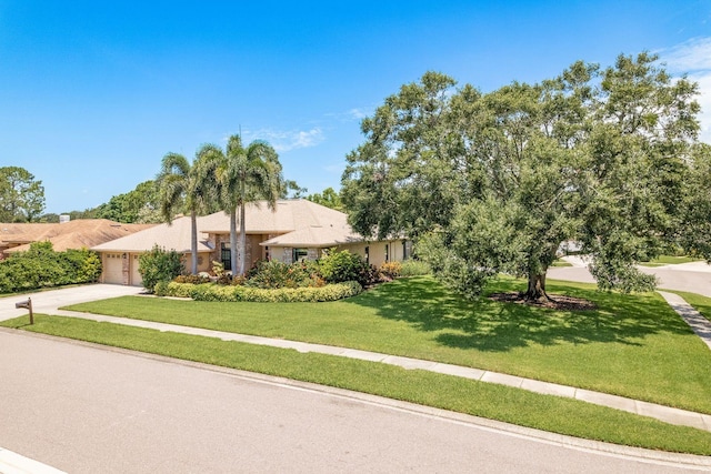 1843 Barn Owl Way, Palm Harbor, FL 34683 - photo 42