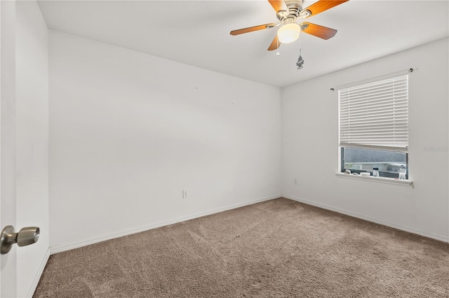 11841 Thicket Wood Dr, Riverview, FL 33579 - photo 35