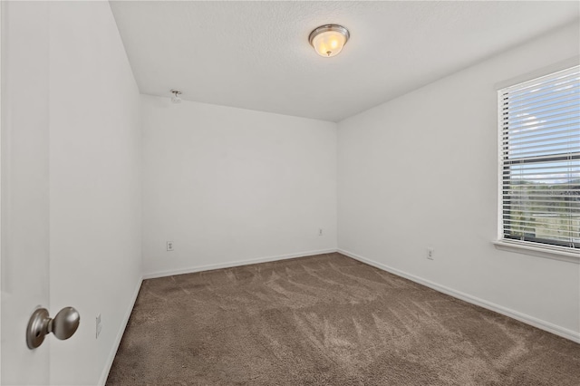 11841 Thicket Wood Dr, Riverview, FL 33579 - photo 38