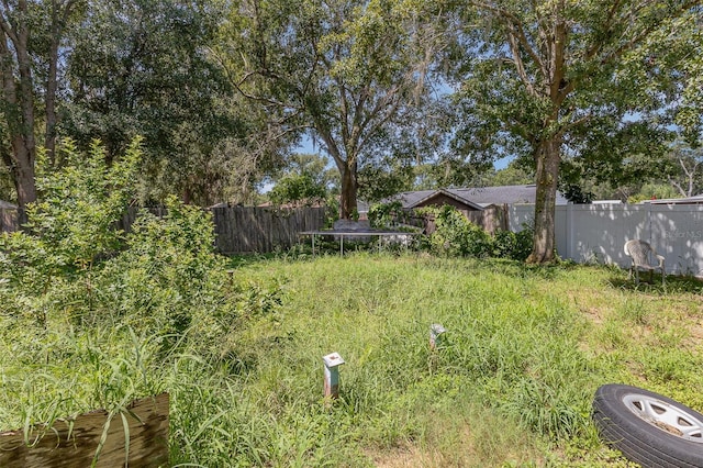 4530 David Dr, Bartow, FL 33830 - view of yard
