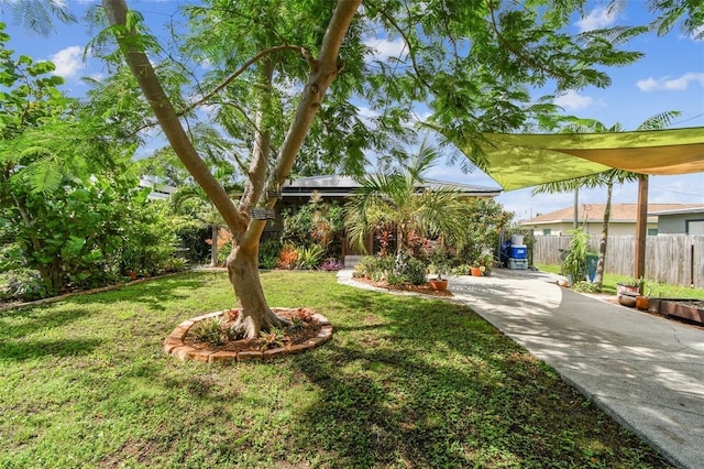 2504 42nd Ave N, Saint Petersburg, FL 33714 - photo 3