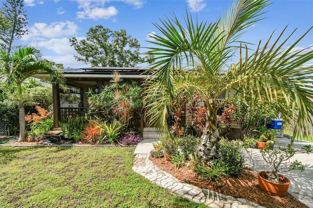 2504 42nd Ave N, Saint Petersburg, FL 33714 - photo 5