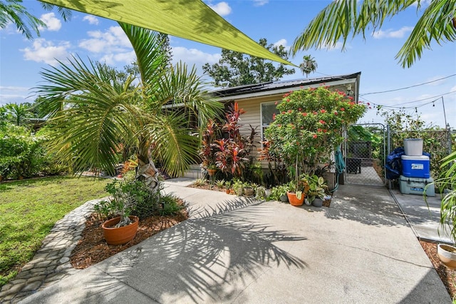 2504 42nd Ave N, Saint Petersburg, FL 33714 - photo 6