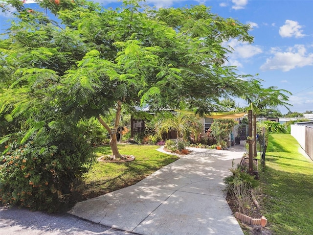 2504 42nd Ave N, Saint Petersburg, FL 33714 - photo 50