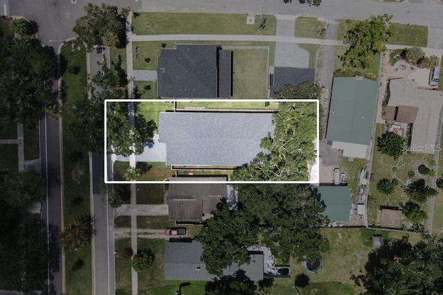 403 Park Blvd, Oldsmar, FL 34677 - photo 32