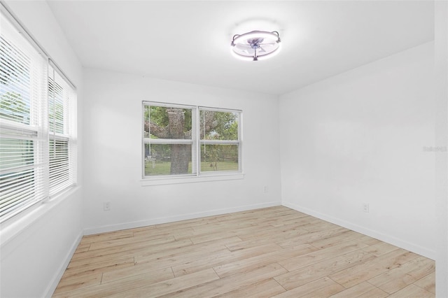 715 W Bougainvillea Ave, Tampa, FL 33612 - photo 19