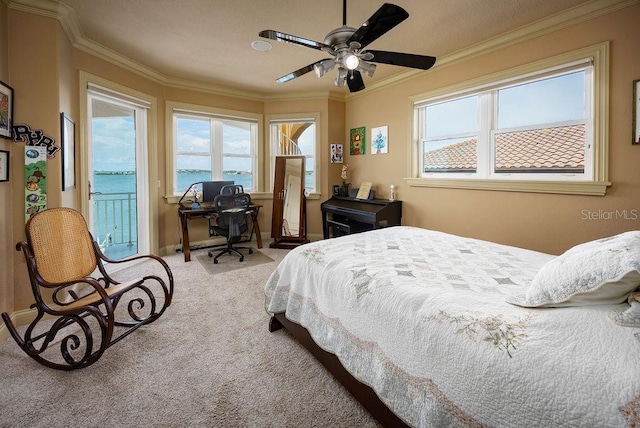306 Harbor Dr, Indian Rocks Beach, FL 33785 - photo 28