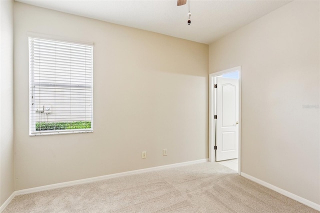 29846 Boyette Oaks Pl, Wesley Chapel, FL 33545 - photo 35
