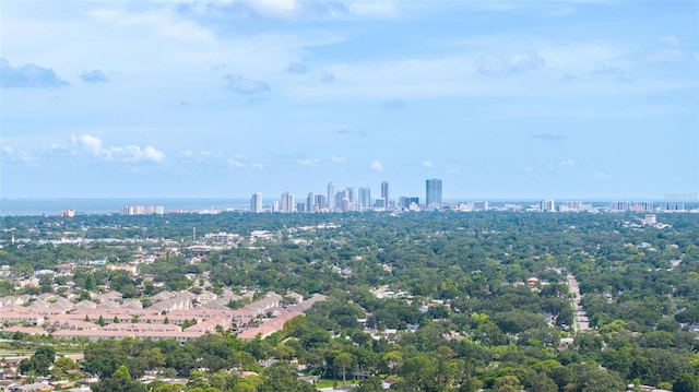 729 Lynndale St N, Saint Petersburg, FL 33703 - photo 23