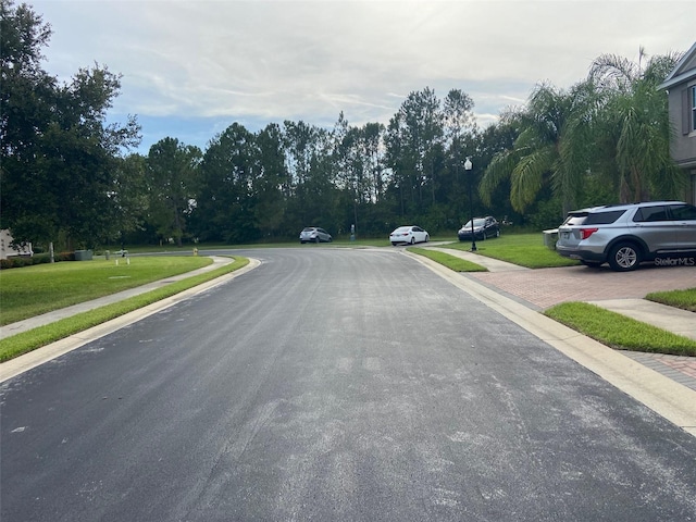 3949 Claybrook Dr, Wesley Chapel, FL 33544 - photo 22