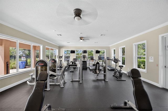 13905 Painted Bunting Ln, Riverview, FL 33579 - photo 27