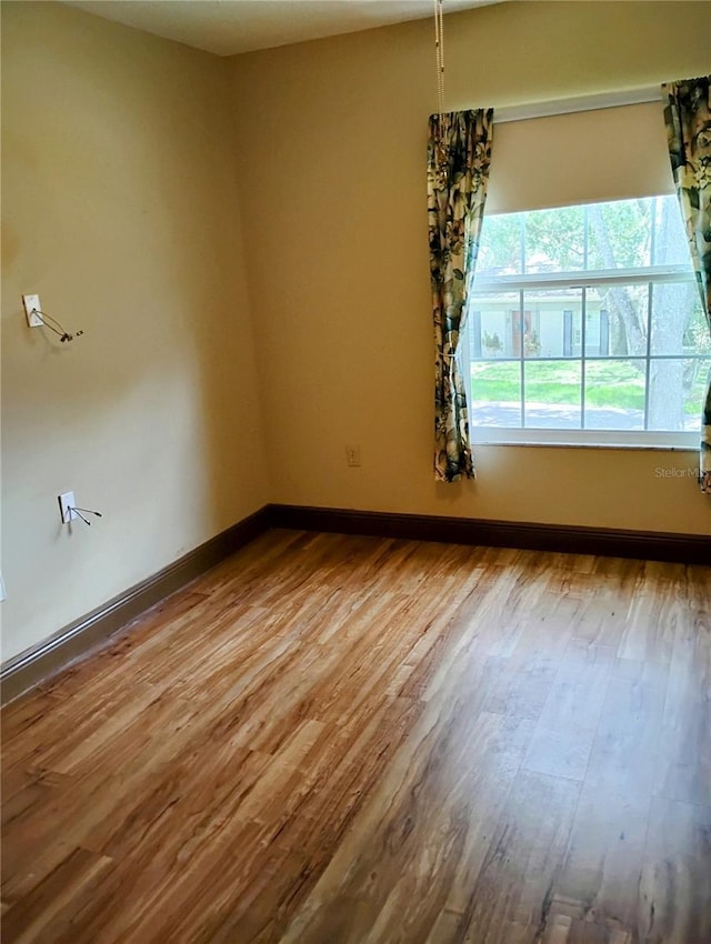 11721 Raintree Dr, Tampa, FL 33617 - photo 7