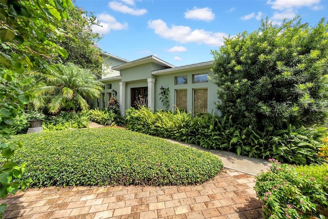 1790 Main St, Safety Harbor, FL 34695 - photo 4