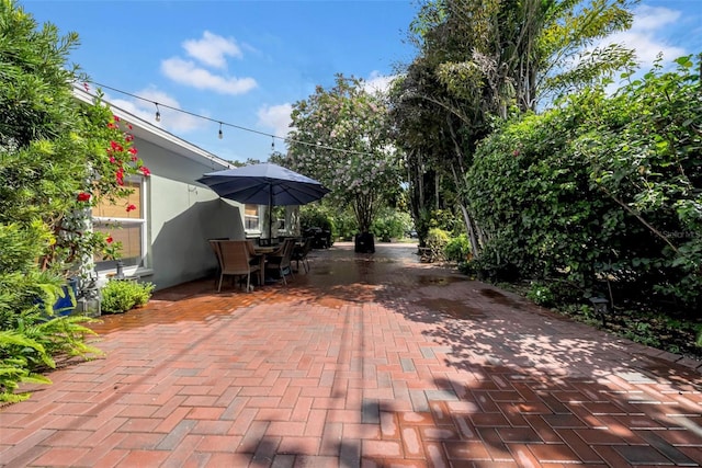 1790 Main St, Safety Harbor, FL 34695 - photo 8