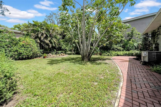1790 Main St, Safety Harbor, FL 34695 - photo 15