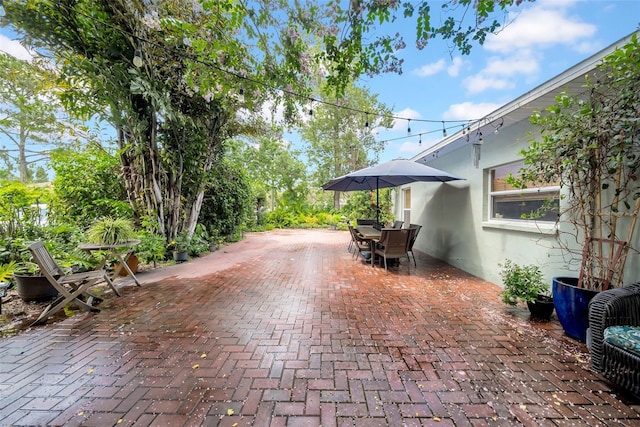 1790 Main St, Safety Harbor, FL 34695 - photo 6