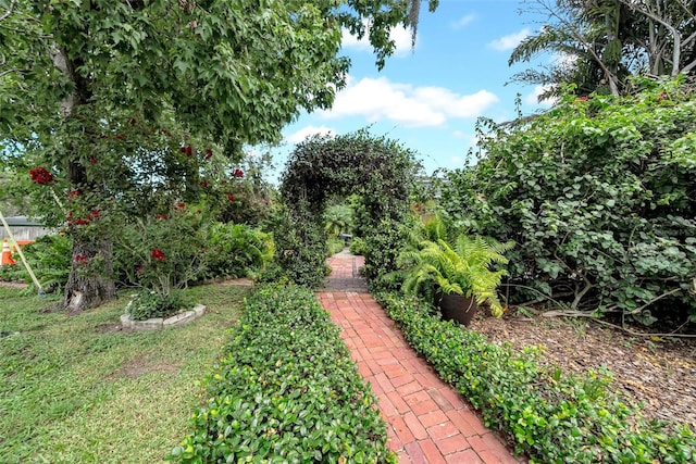 1790 Main St, Safety Harbor, FL 34695 - photo 17