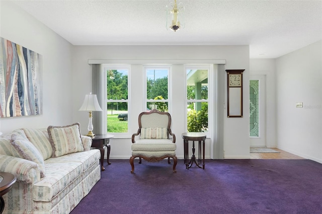 10319 113th St, Largo, FL 33778 - photo 3