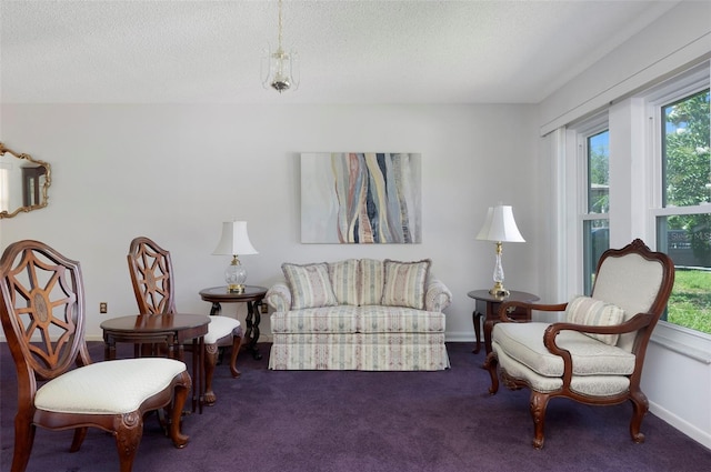 10319 113th St, Largo, FL 33778 - photo 6