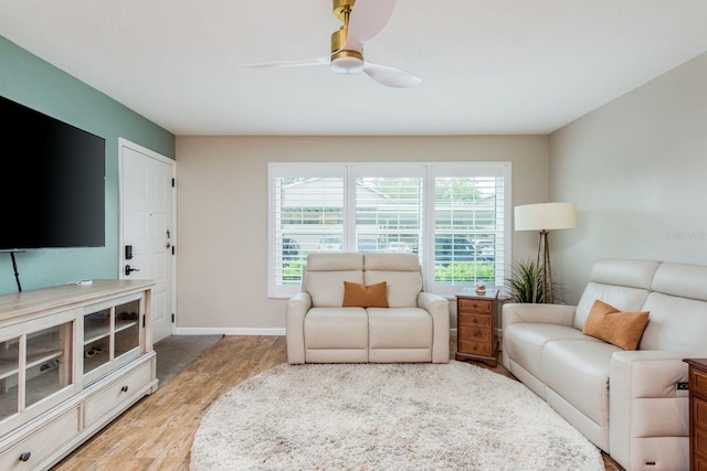 6601 Spring Flower Dr Unit 11, New Port Richey, FL 34653 - photo 6