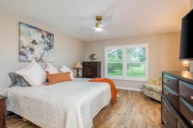 6601 Spring Flower Dr Unit 11, New Port Richey, FL 34653 - photo 13