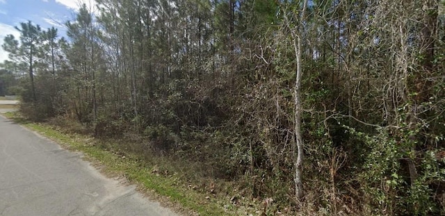 3200 Stefani Rd, Cantonment, FL 32533 - photo 2