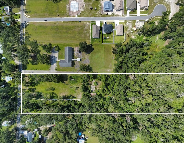 1308 N Shannon Ave, Plant City, FL 33563 - photo 2