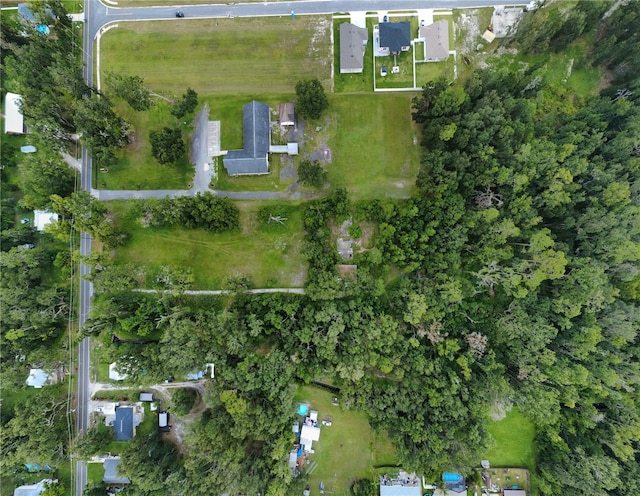 1308 N Shannon Ave, Plant City, FL 33563 - photo 4