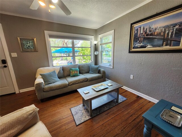 1925 Overbrook Ave, Clearwater, FL 33755 - photo 7