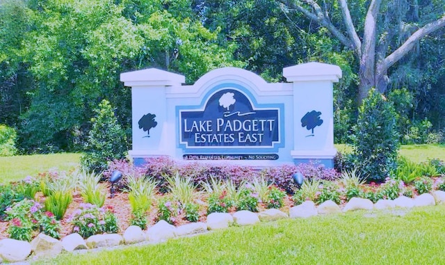 23253 Granite Pl, Land O Lakes, FL 34639 - photo 22