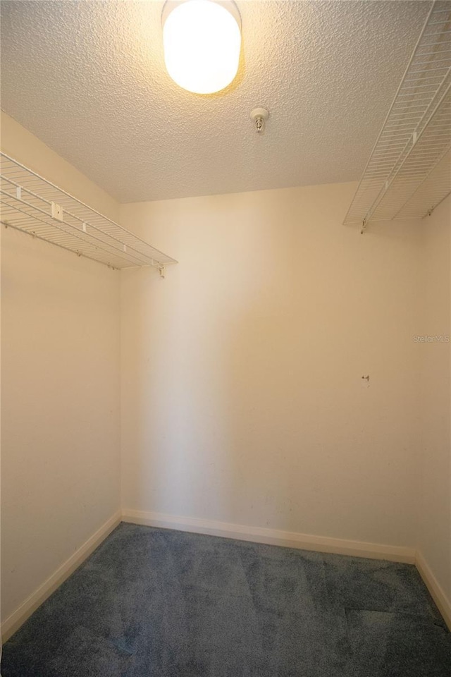 5950 Pelican Bay Plz S Unit 1004, Gulfport, FL 33707 - photo 35