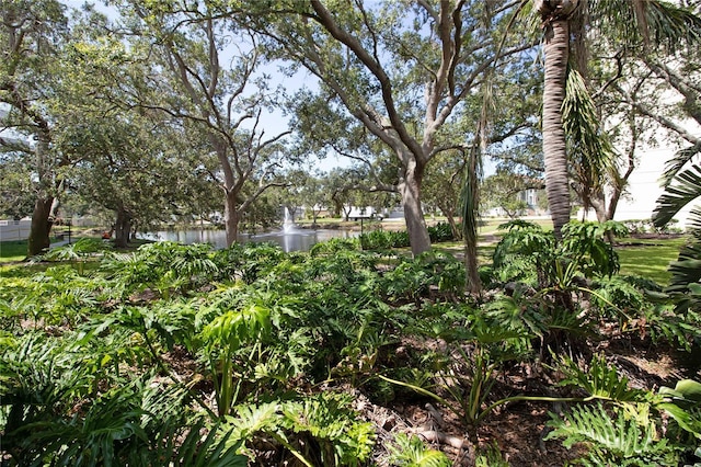 5950 Pelican Bay Plz S Unit 1004, Gulfport, FL 33707 - photo 45