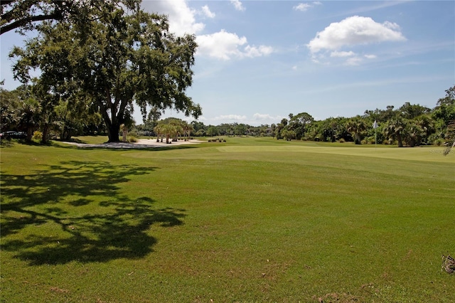 5950 Pelican Bay Plz S Unit 1004, Gulfport, FL 33707 - photo 48
