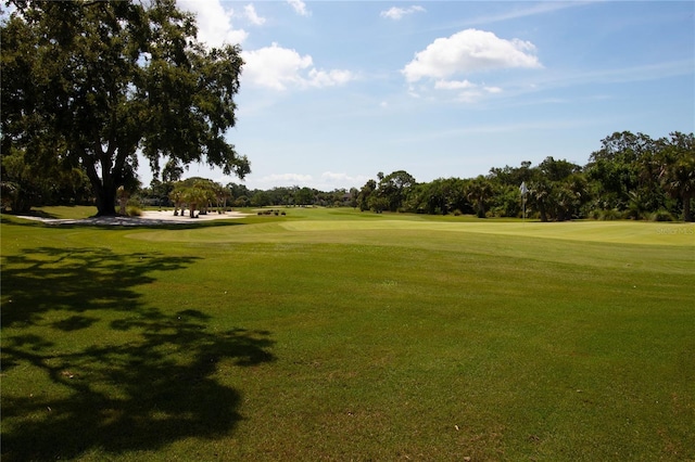 5950 Pelican Bay Plz S Unit 1004, Gulfport, FL 33707 - photo 49