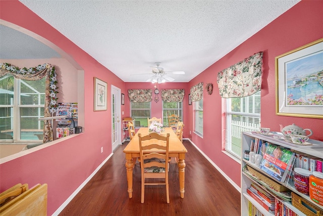 333 Tavernier Dr, Oldsmar, FL 34677 - photo 12