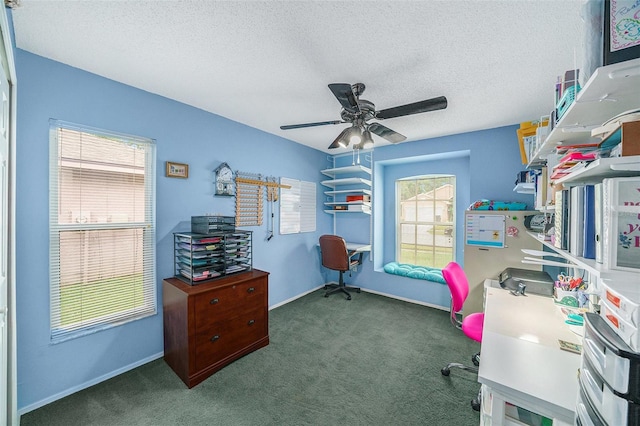 333 Tavernier Dr, Oldsmar, FL 34677 - photo 20