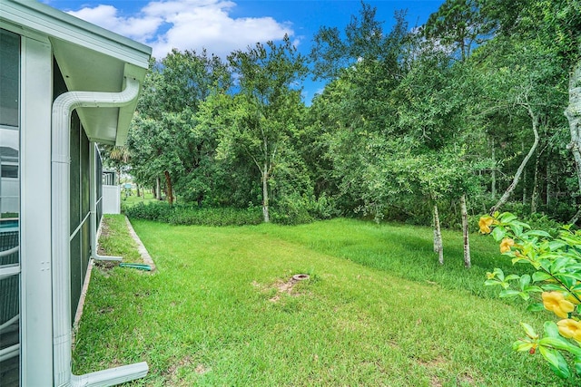 333 Tavernier Dr, Oldsmar, FL 34677 - photo 25