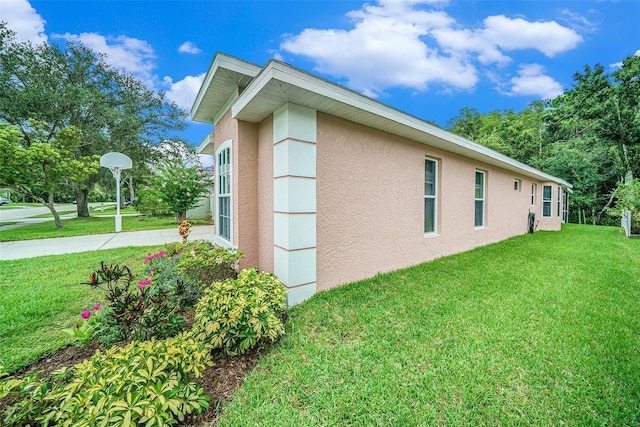 333 Tavernier Dr, Oldsmar, FL 34677 - photo 28