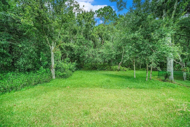 333 Tavernier Dr, Oldsmar, FL 34677 - photo 29