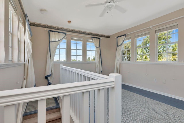 1149 Marina Dr, Tarpon Springs, FL 34689 - photo 48