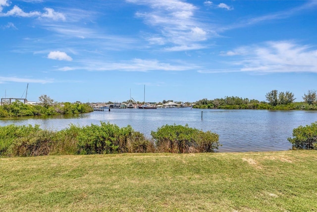 1149 Marina Dr, Tarpon Springs, FL 34689 - photo 66