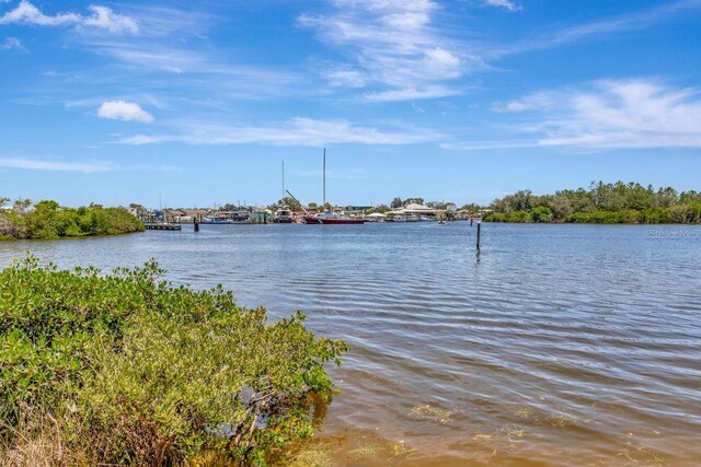 1149 Marina Dr, Tarpon Springs, FL 34689 - photo 69