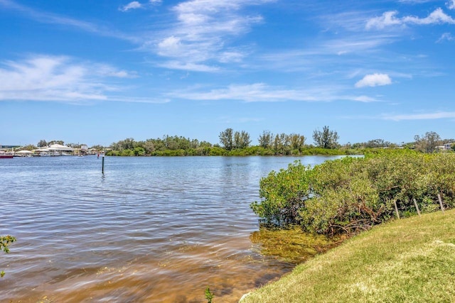 1149 Marina Dr, Tarpon Springs, FL 34689 - photo 70