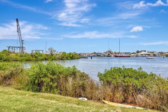 1149 Marina Dr, Tarpon Springs, FL 34689 - photo 71