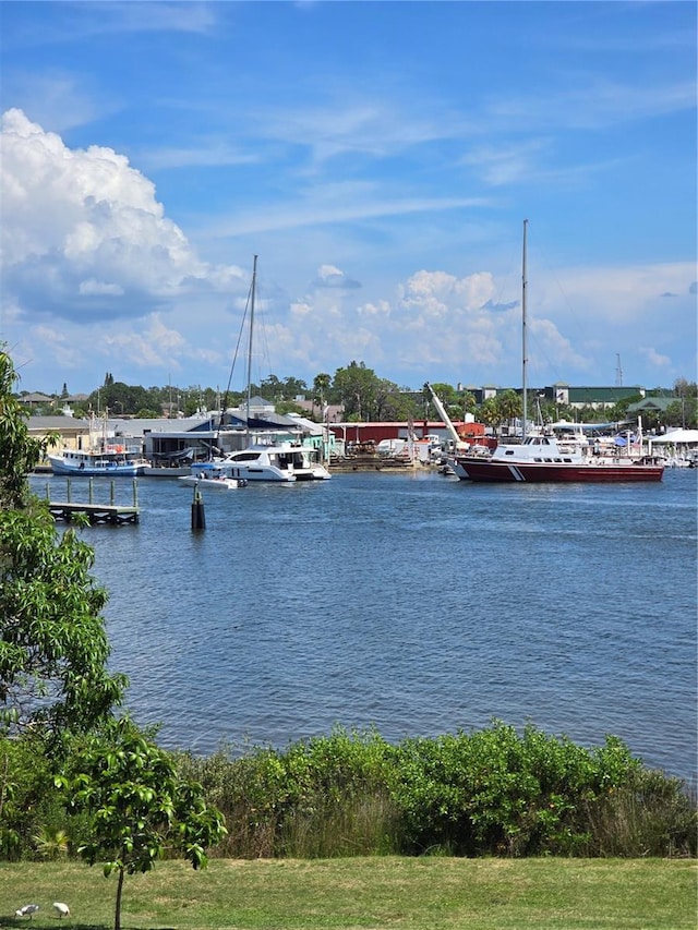 1149 Marina Dr, Tarpon Springs, FL 34689 - photo 78
