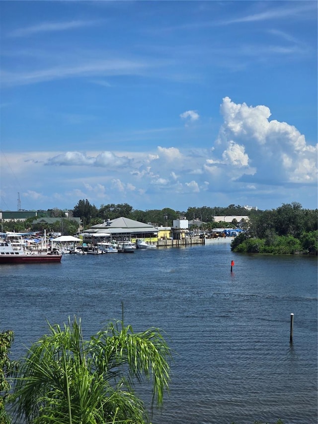 1149 Marina Dr, Tarpon Springs, FL 34689 - photo 80