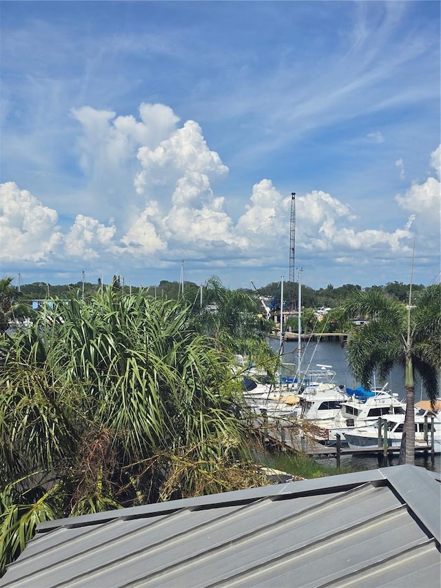 1149 Marina Dr, Tarpon Springs, FL 34689 - photo 83