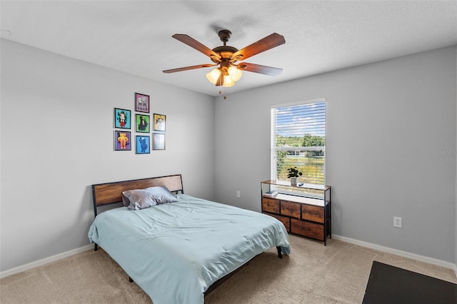 4809 Walnut Ridge Rd, Land O Lakes, FL 34638 - photo 45