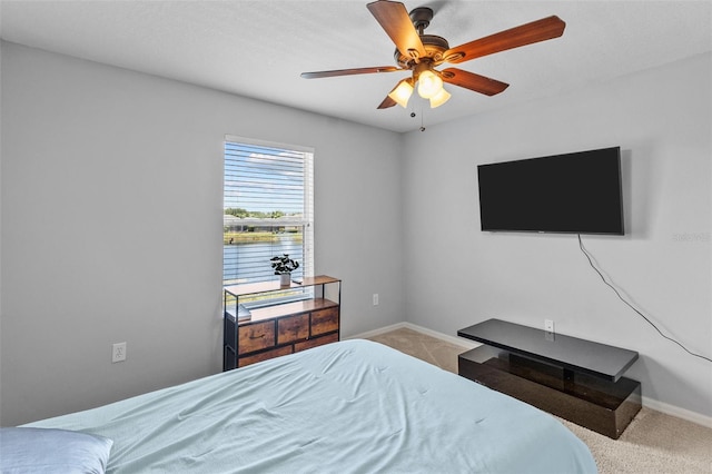 4809 Walnut Ridge Rd, Land O Lakes, FL 34638 - photo 48